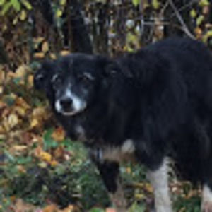 Meet your Posher, C. l.